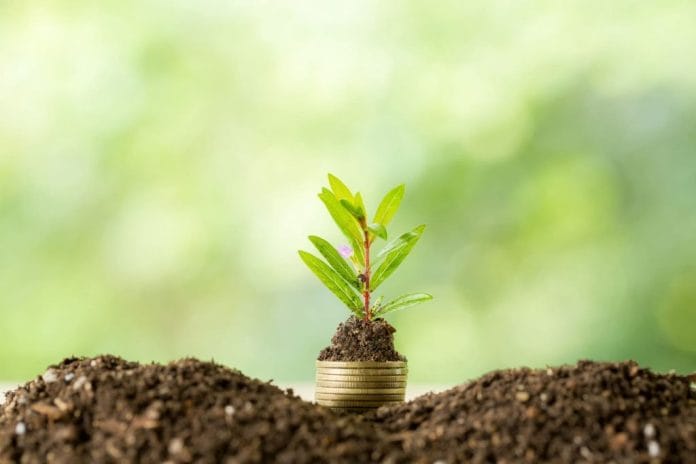 planting-trees-coin-pile-with-sunlight-1-1024x683