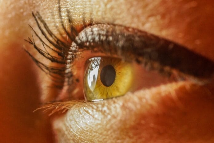 eye-4367141_1280